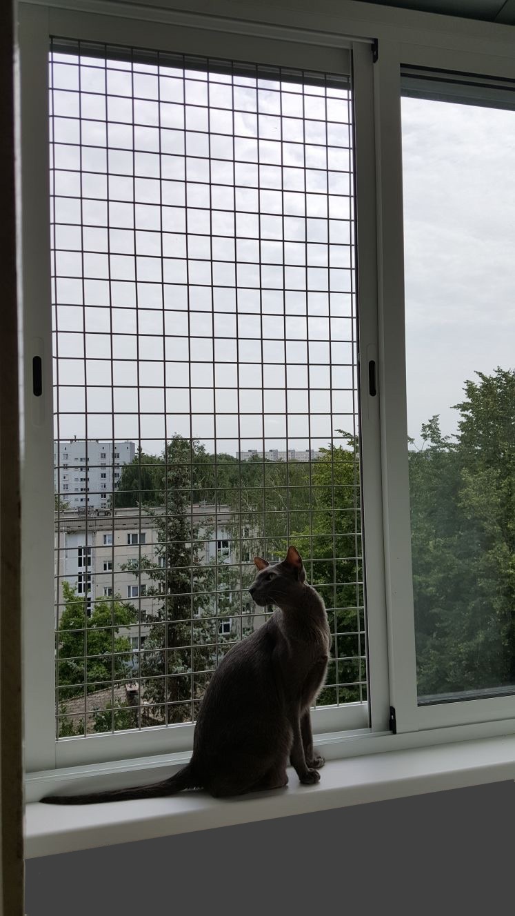 Предлагаем застеклить лоджию, балкон раздвижной системой с дополнительной опцией. Предлагаем застеклить лоджию, балкон раздвижной системой с дополнительной опцией.